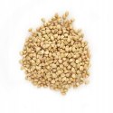 Kasza gryczana niepalona BIO 0,5 kg Kasza gryczana niepalona BIO 0,5 kg